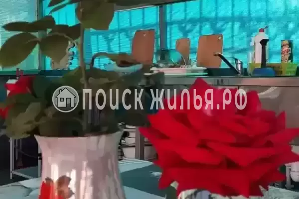 Частный сектор «Алые паруса», Кучугуры