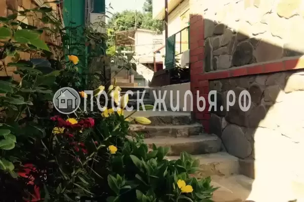 «С Севера на Юг»