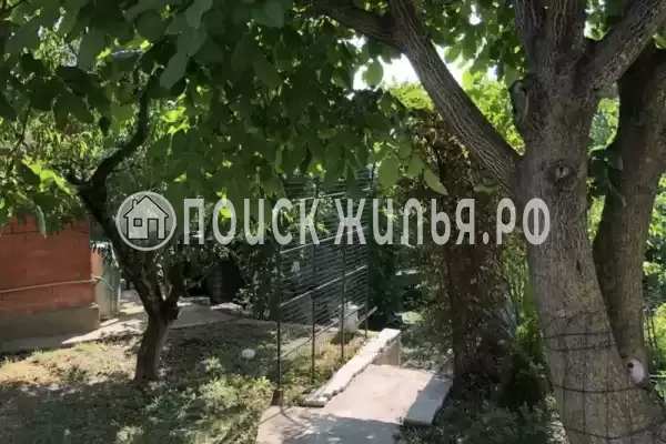 «Под соснами», Джубга