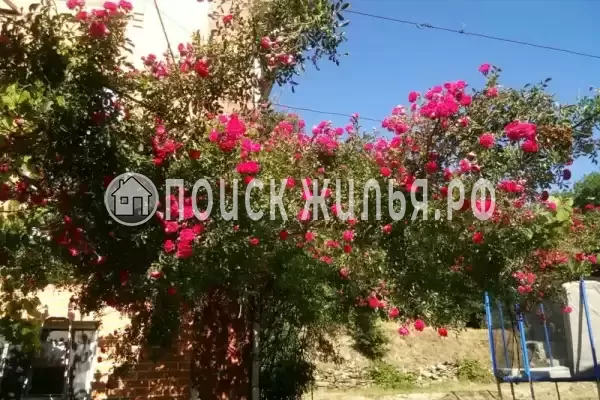 «Счастливый», Архипо-Осиповка