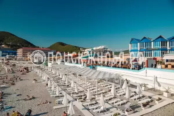 «Премьер», Ольгинка