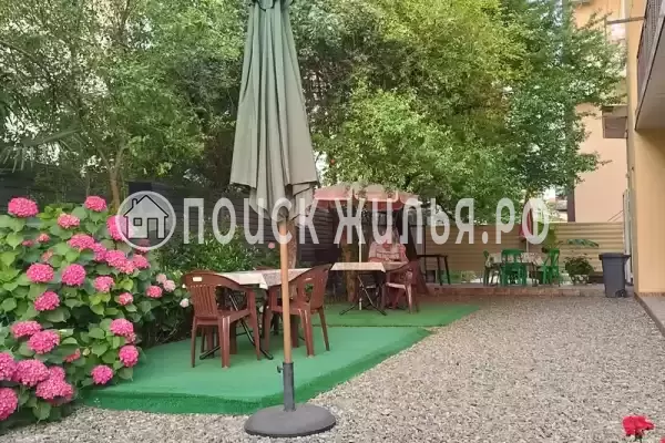 «Крокус», Лазаревское