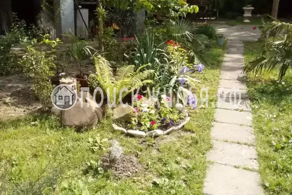 «Есения», Шепси