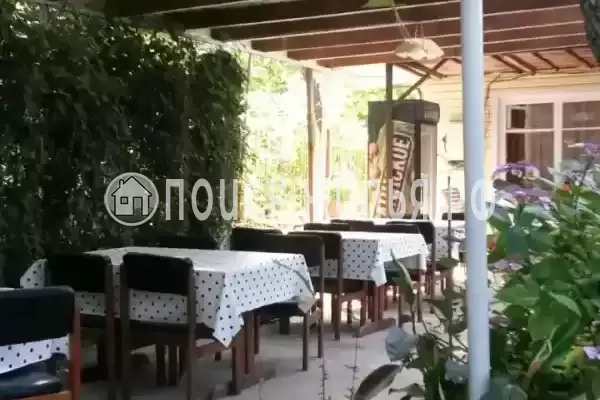 «Есения», Шепси