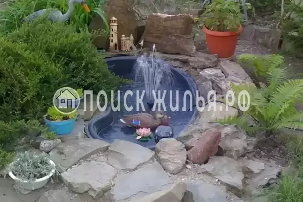 «Есения», Шепси