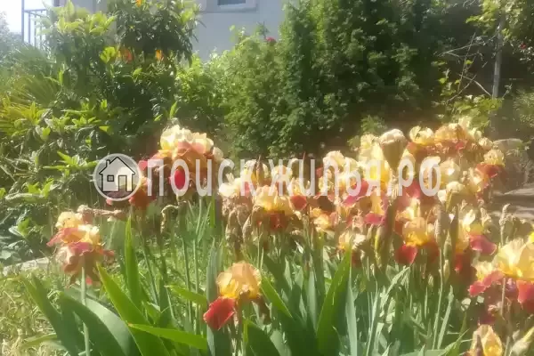 «Людмила», Гурзуф