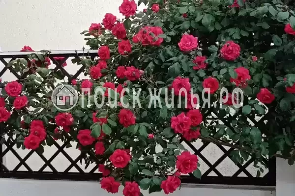 Частный сектор «Акварель», Кабардинка