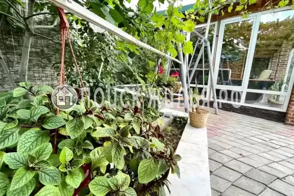 «Мечта-4», Пляхо «Мечта-4», Пляхо