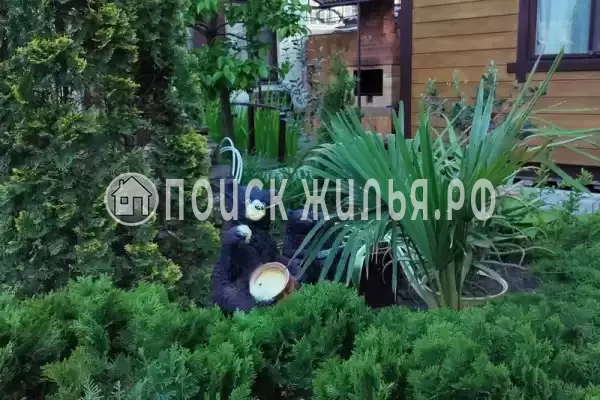 «Три медведя», Геленджик