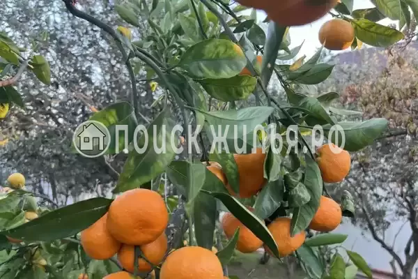 Гостевой дом «Hurma», Цандрипш