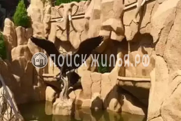 «Эрика», Лоо