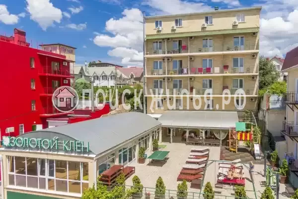 «Золотой клен»