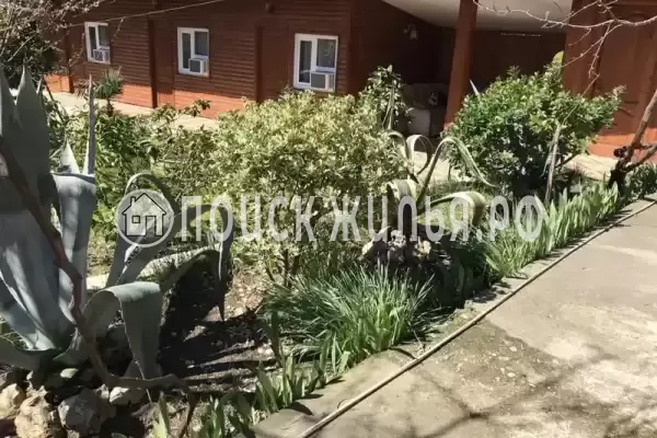 Частный сектор «Отдых в Гагре», Гагра