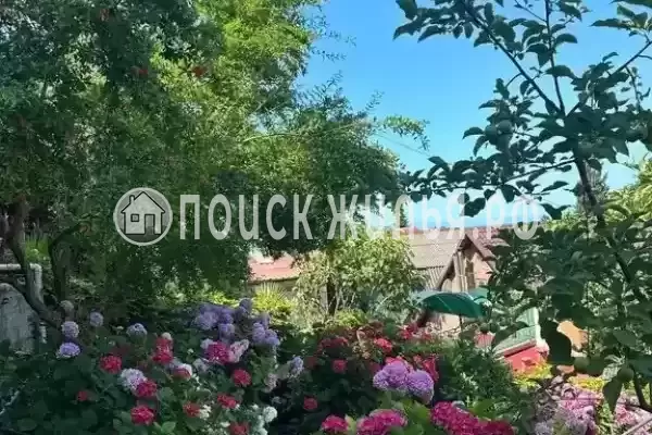 «Ольга+», Лазаревское «Ольга+», Лазаревское