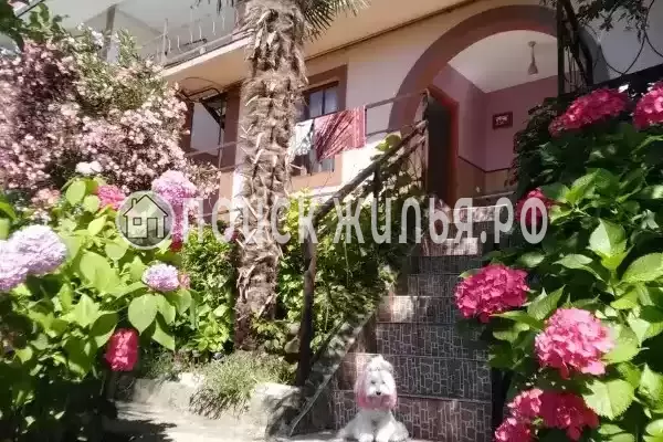 «Ольга+», Лазаревское «Ольга+», Лазаревское