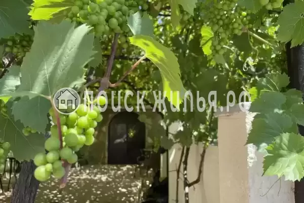 «Вместе», Краснодарский край, Шепси, мкр. Заречье, д.66