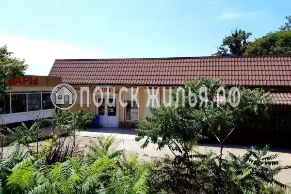 «У Алексея в Аше», Аше