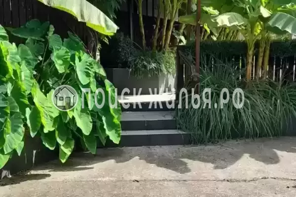 «У Алексея в Аше», Аше