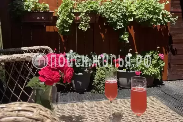 «Розмарин», Ольгинка