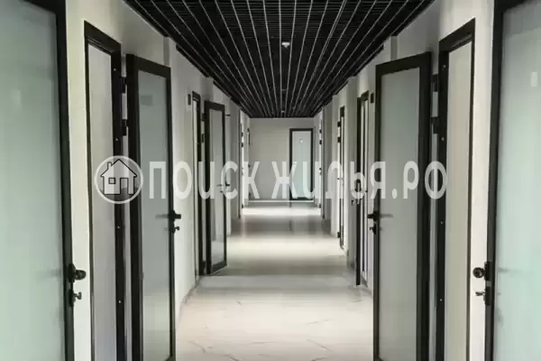 «Fox», Лермонтово