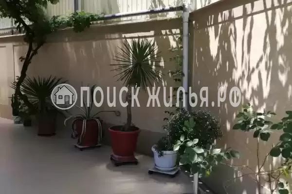 «Соло», Лазаревское «Соло», Лазаревское