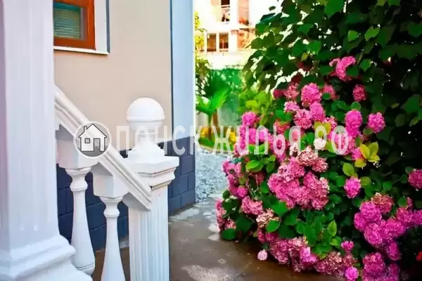 «Самшит», Якорная Щель «Самшит», Якорная Щель