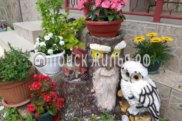 «Панорама», Ольгинка