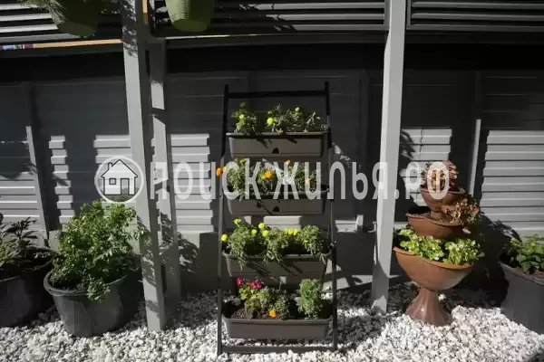 «Cosmoеasy», Адлер