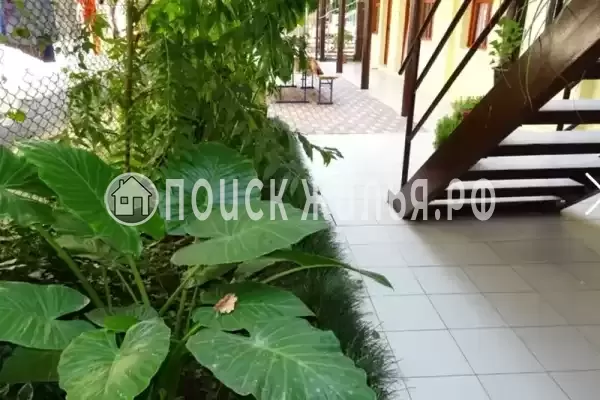 Частный сектор «У Мадины», Гагра