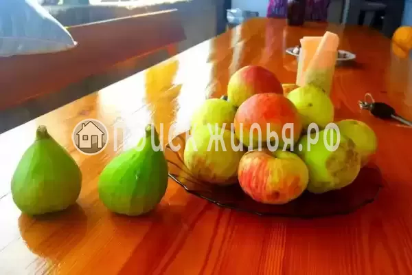 Гостевой дом «Отдых у Жанны», Приморское