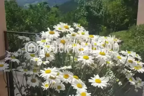 Гостевой дом "Отдых у Жанны", Приморское, ул. Гагарина, д. 31