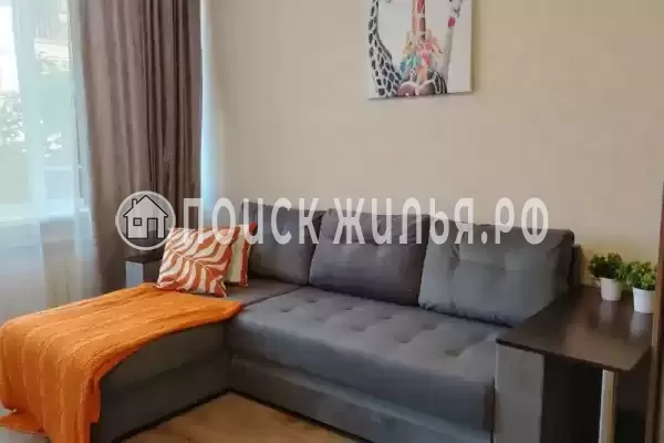 Квартира «На Известинском»