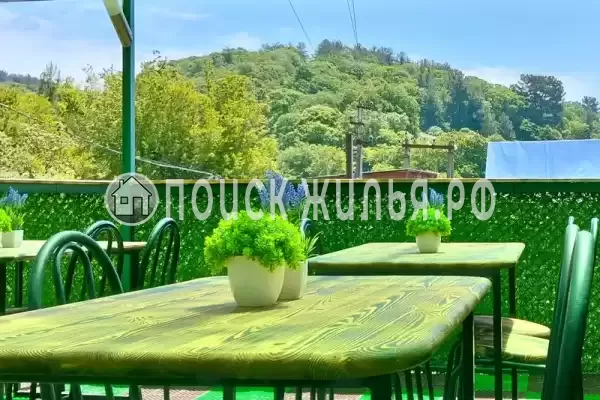 «Елки-палки», Джанхот «Елки-палки», Джанхот