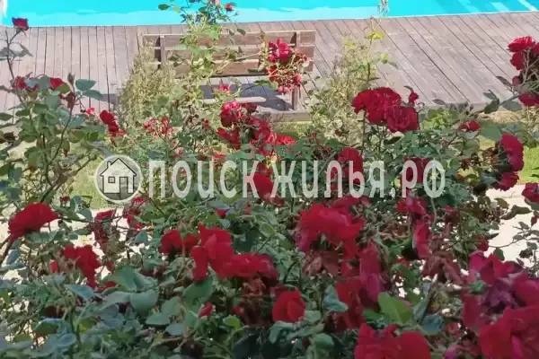 «Барселона», Кучугуры