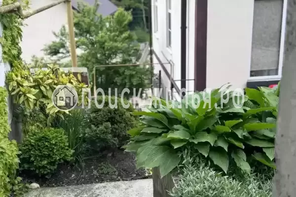 «Full House», Солоники «Full House», Солоники