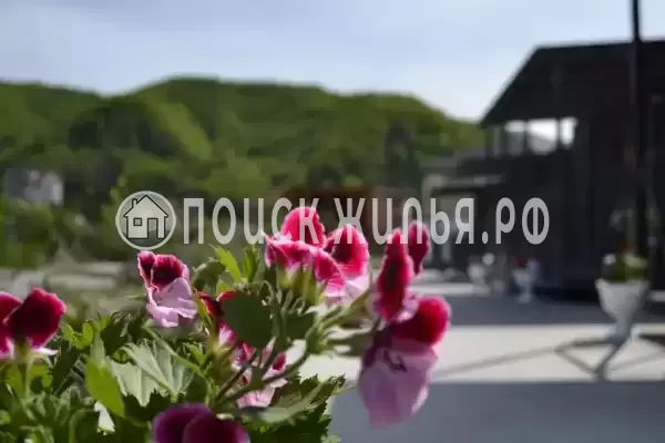 «Бермуды», Агой