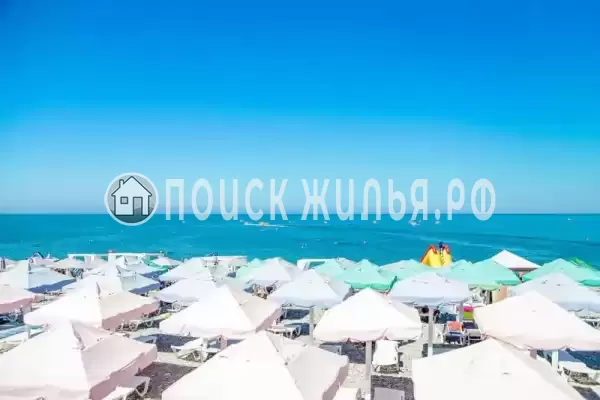 «Милания», Ольгинка