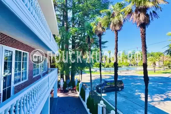 Отель «Кедр», Цитрусовый Отель «Кедр», Цитрусовый