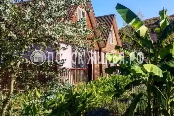 «Лесная поляна», Джубга «Лесная поляна», Джубга