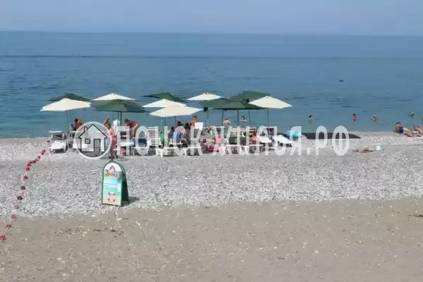 Гостевой дом «Fish House», Гагра Гостевой дом «Fish House», Гагра