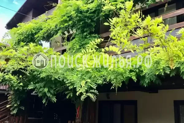 Гостевой дом «Шале», Краснодарский край, Анапа, Джемете, Пионерский проспект, д.88В Гостевой дом «Шале», Краснодарский край, Анапа, Джемете, Пионерский проспект, д.88В