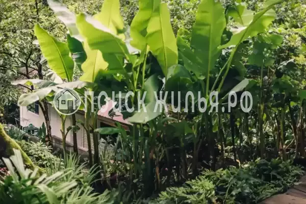 «LARA», Лазаревское