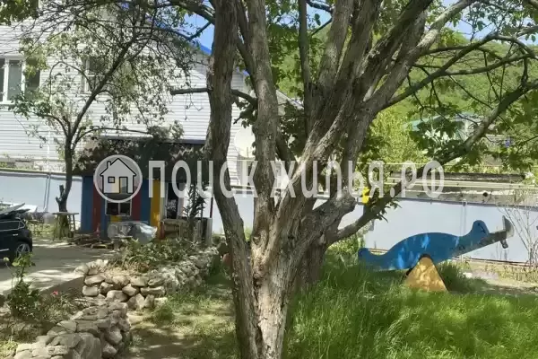 «Море Агой», Агой «Море Агой», Агой