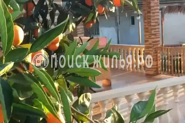 Гостевой дом «Аллея роз», Сухум