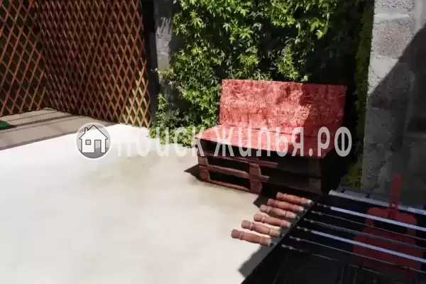 «Алиса», Новомихайловский