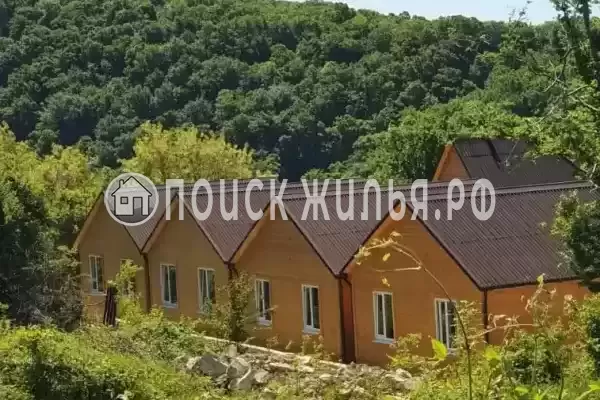 «Дельфин на Приморской», Новомихайловский