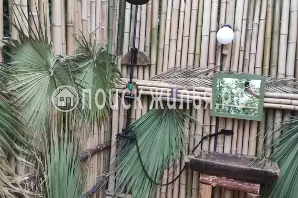 «Тай», Сочи