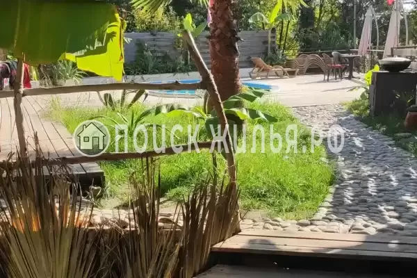 «Тай», Сочи