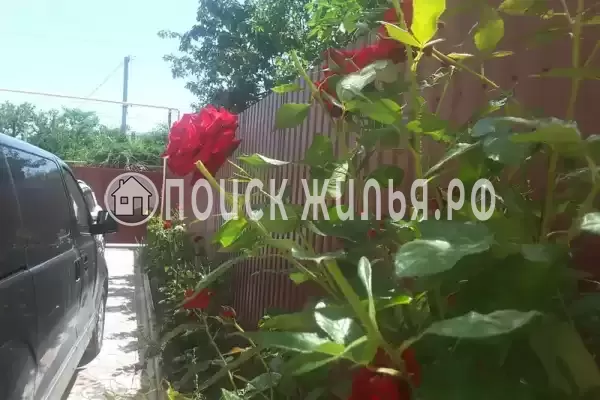 Гостевой дом «У Светланы», Феодосия Гостевой дом «У Светланы», Феодосия