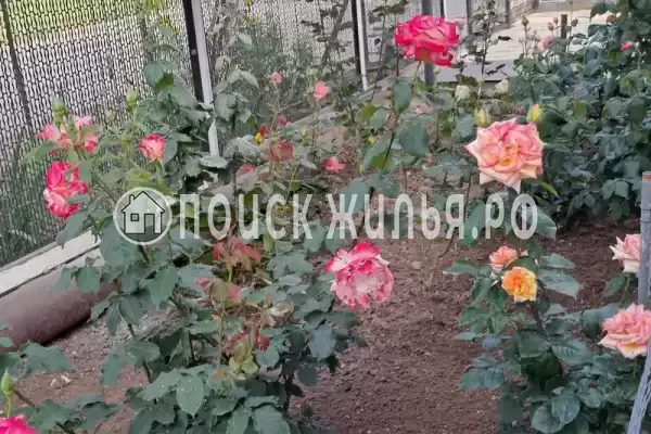 Частный сектор «Домик на Суворовском», Тамань